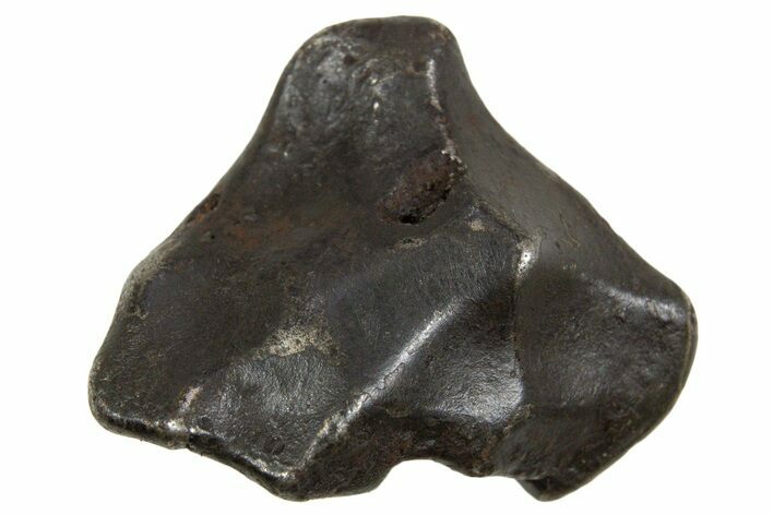 Fusion Crusted Sikhote-Alin Iron Meteorite ( g) - Russia #334606